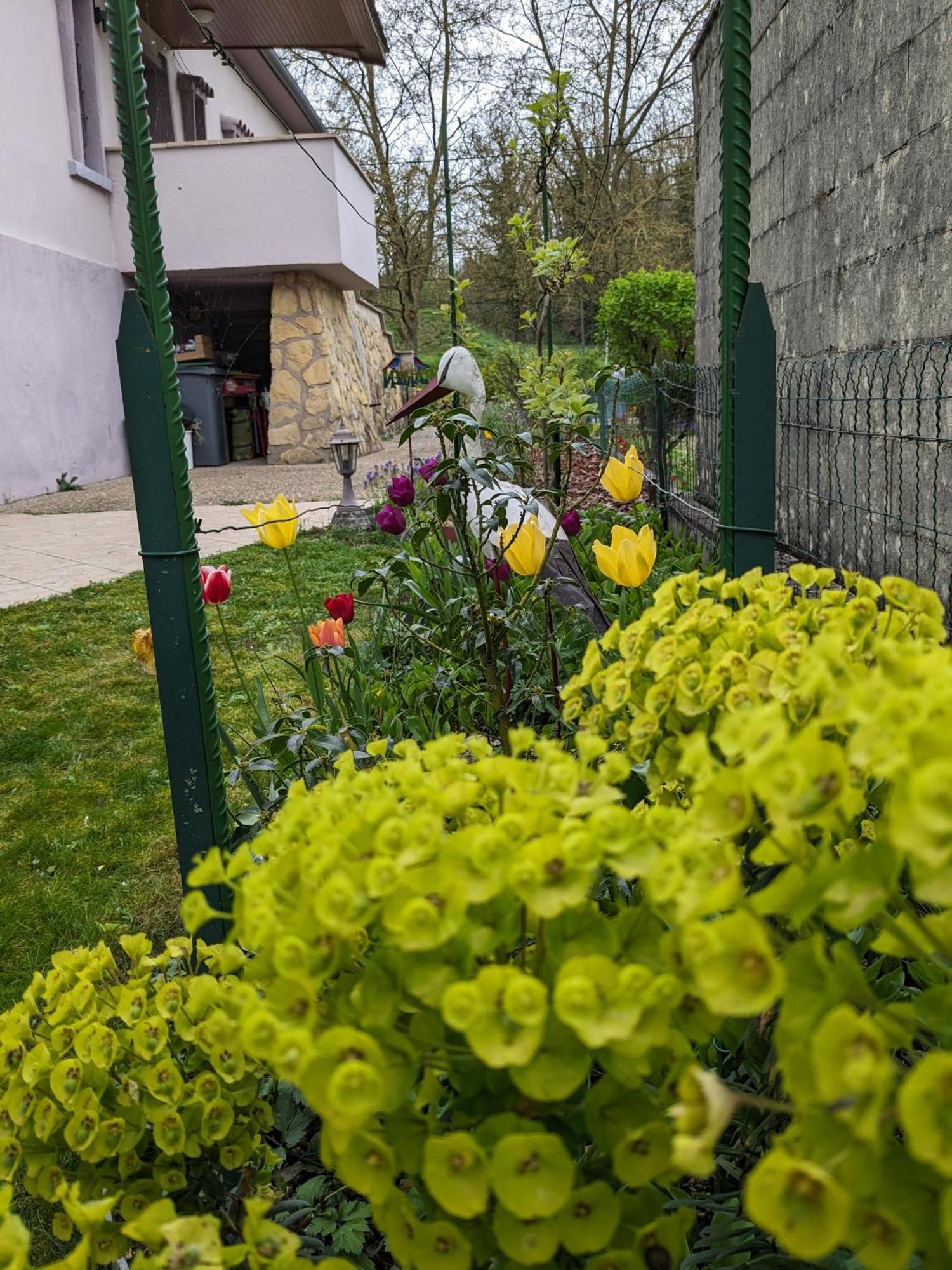 Villa Chantal Verdun-sur-Meuse Luaran gambar